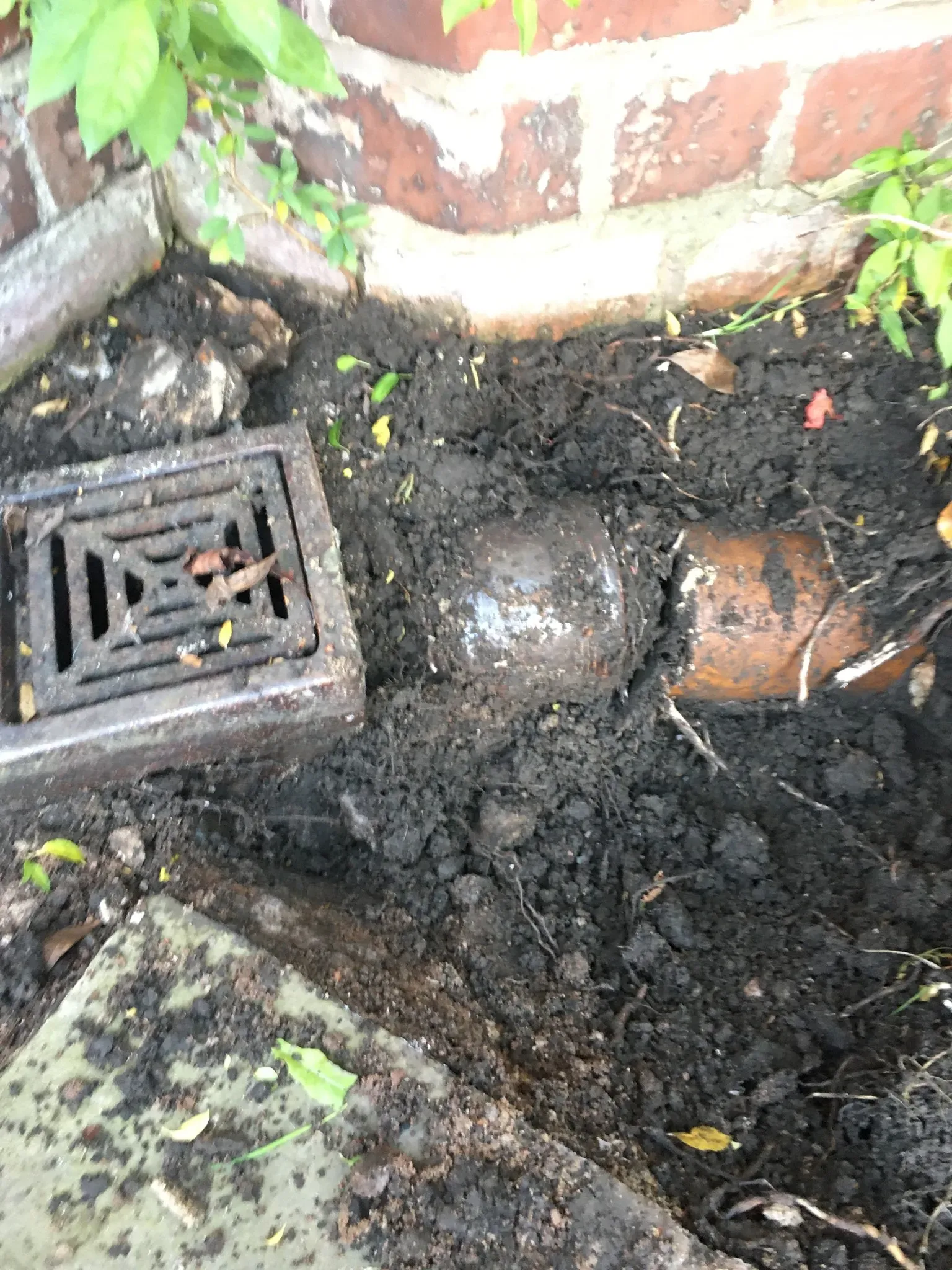 Outdoor drain grate with surrounding soil excavated to expose clay drain pipes.